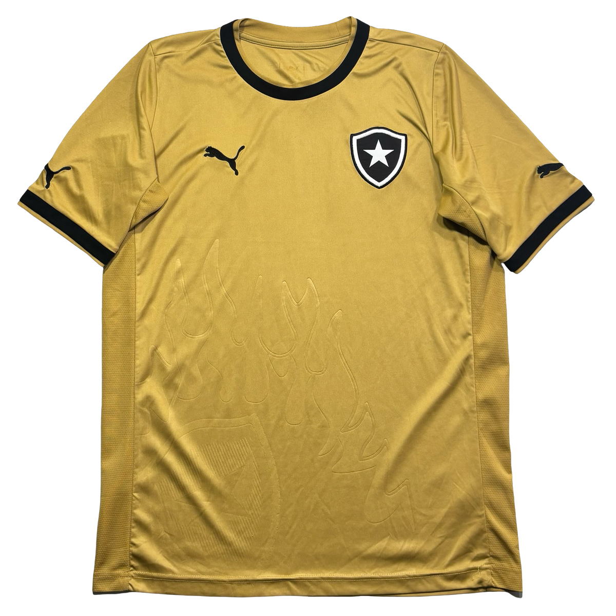 Botafogo 2013 M