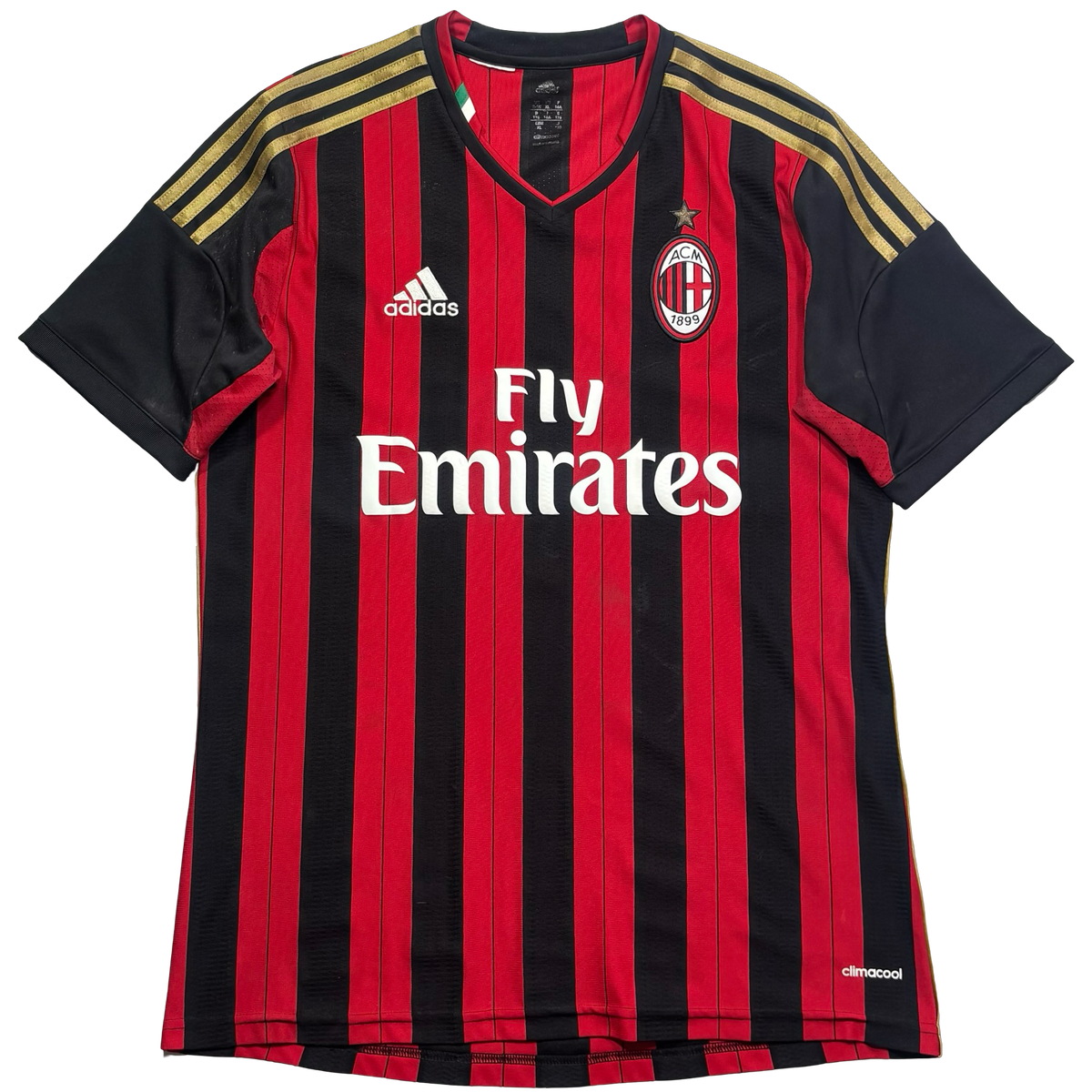 Milan 2014 P