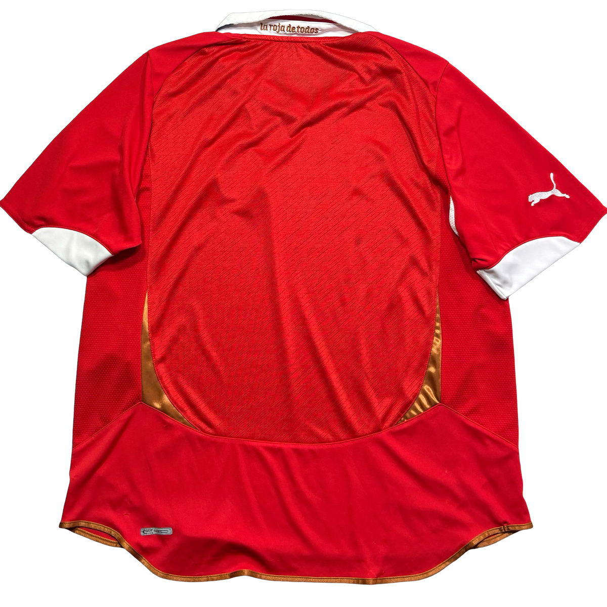 Chile 2010 GG