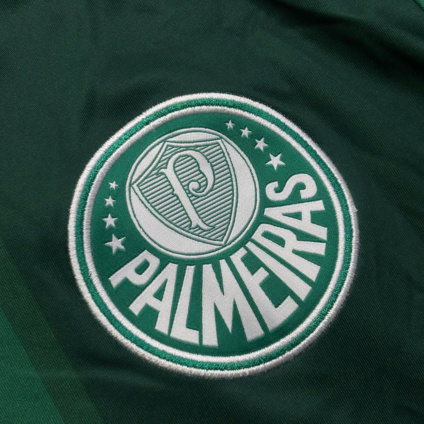 Palmeiras 2016 M