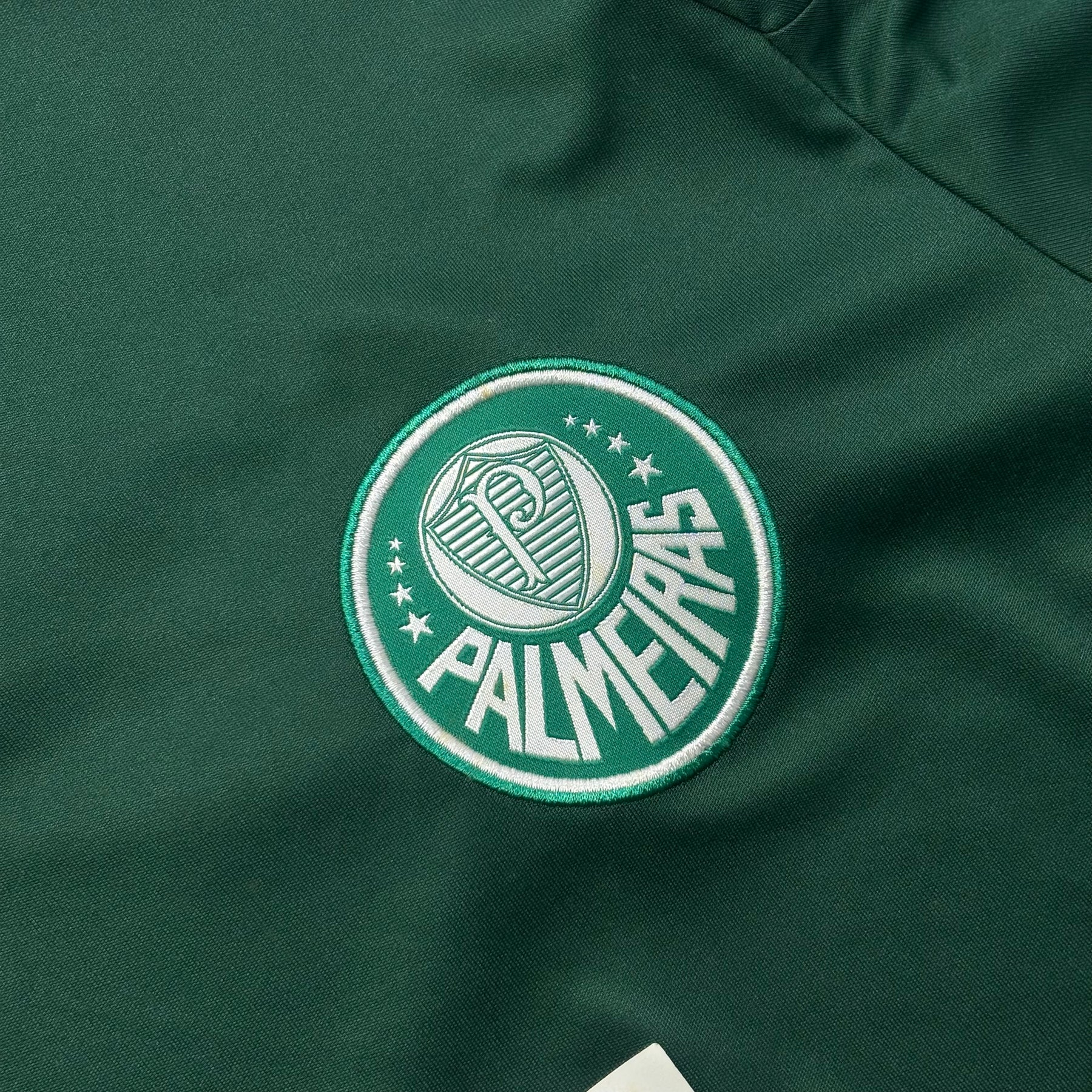 Palmeiras 2009 G