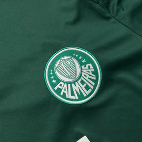 Palmeiras 2009 G