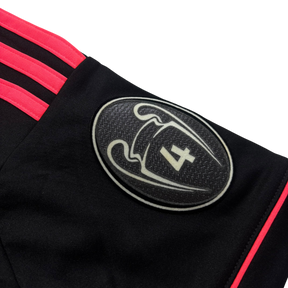 Ajax 2013 G