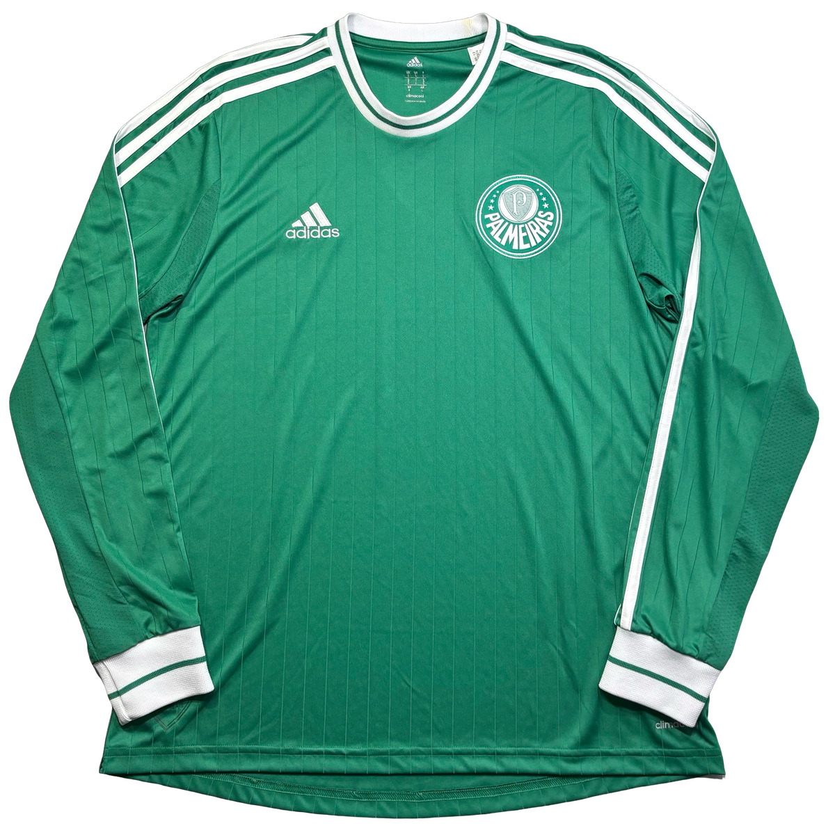 Palmeiras 2013 G