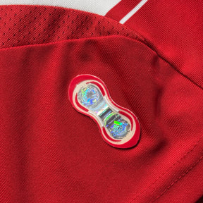 Bayern de Munique 2007 G