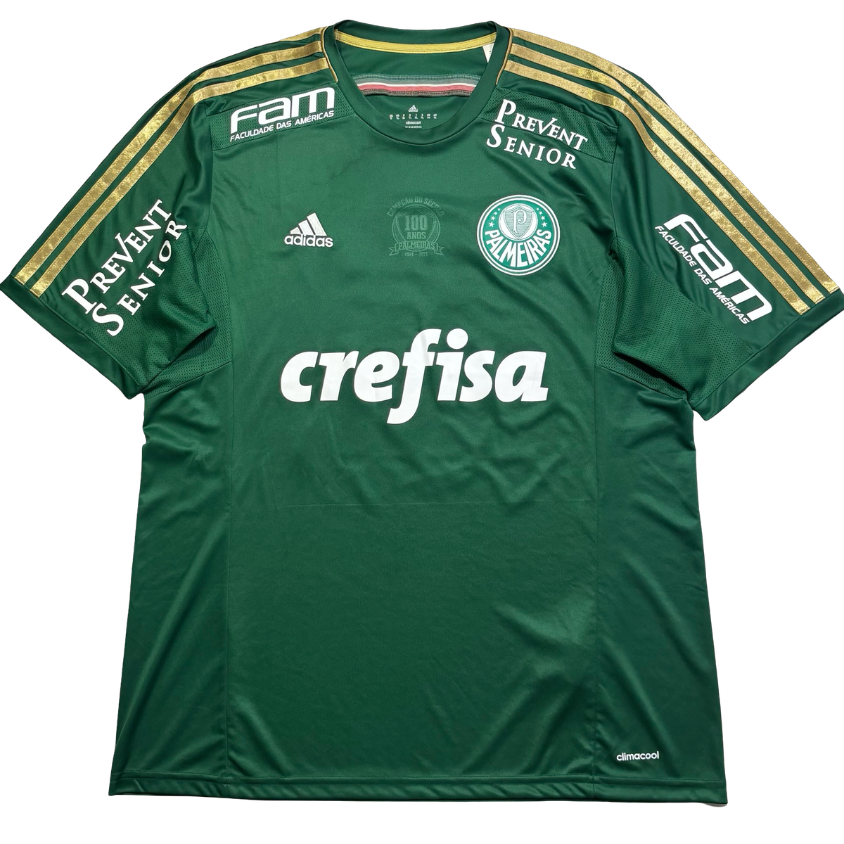 Palmeiras 2014 GG