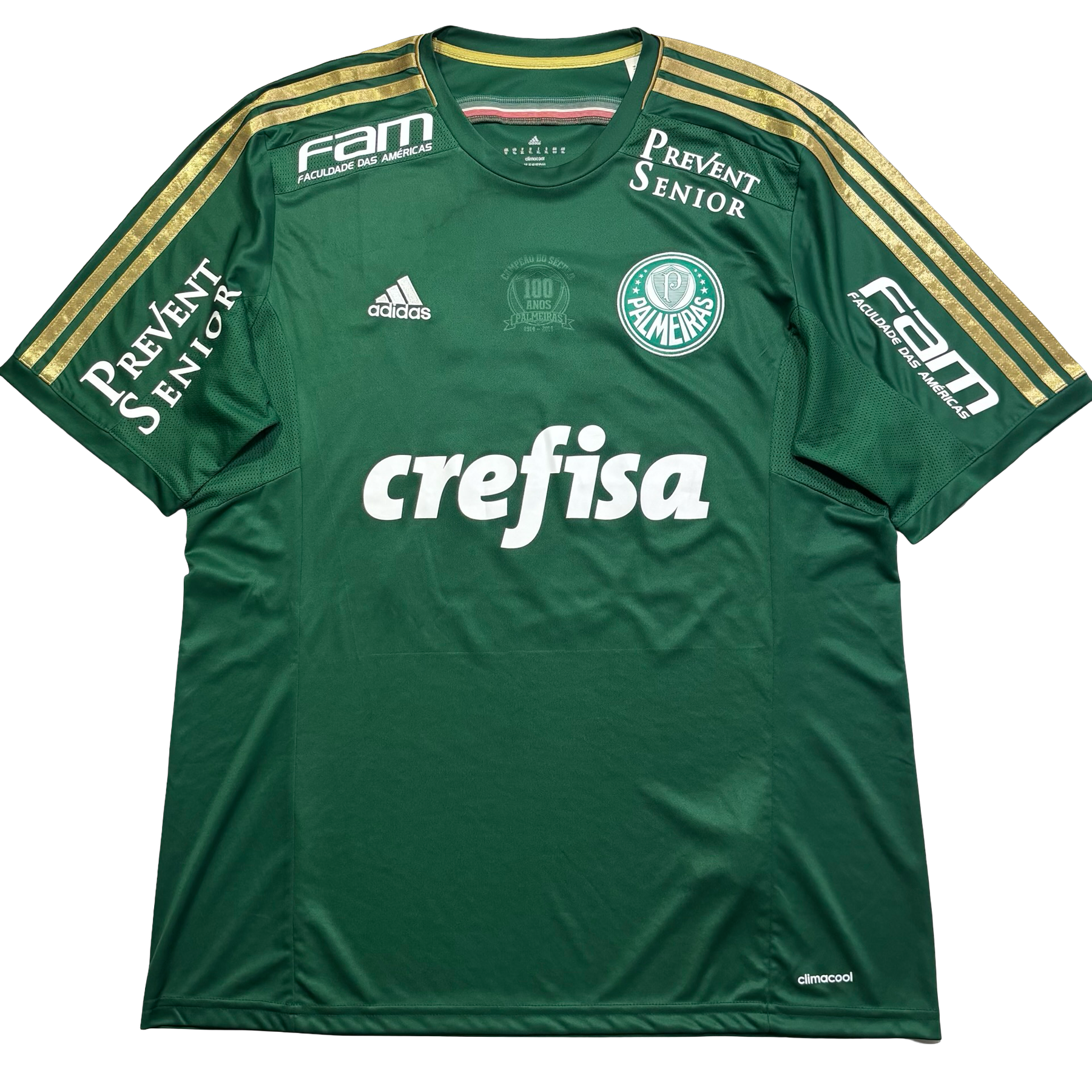 Palmeiras 2014 GG