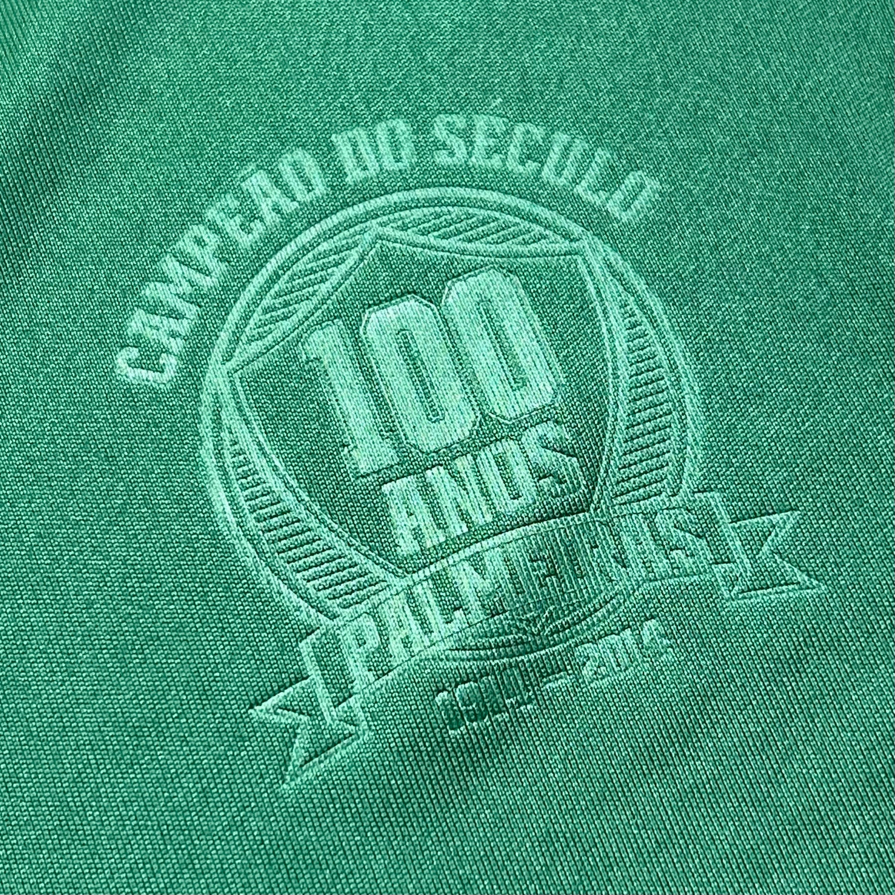 Palmeiras 2014 M
