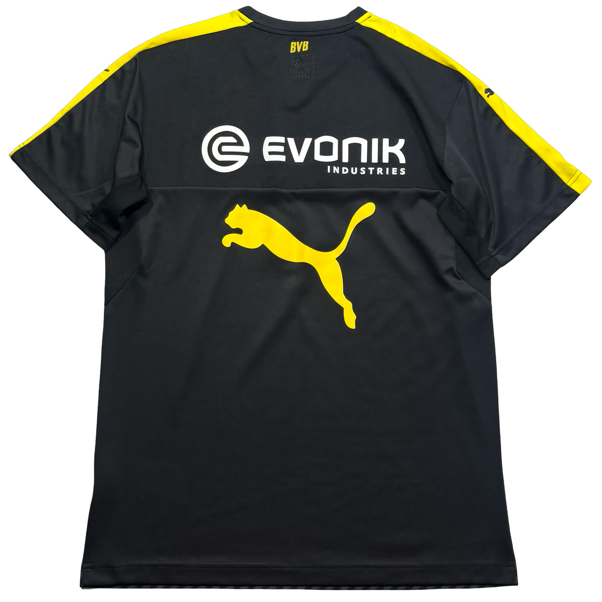 Borussia Dortmund 2013 M