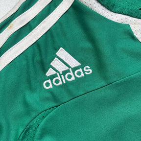 Palmeiras 2008 G