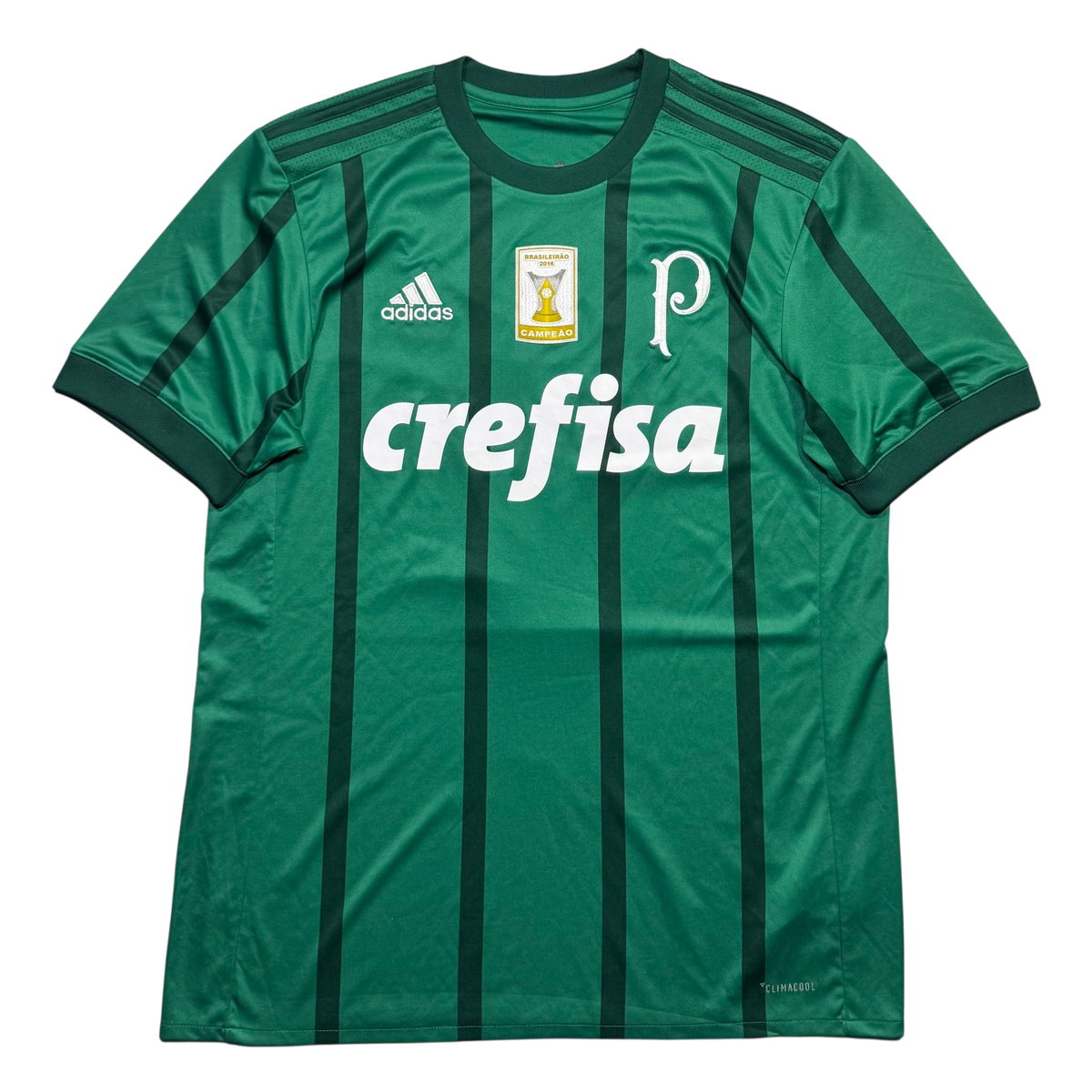 Palmeiras 2017 M