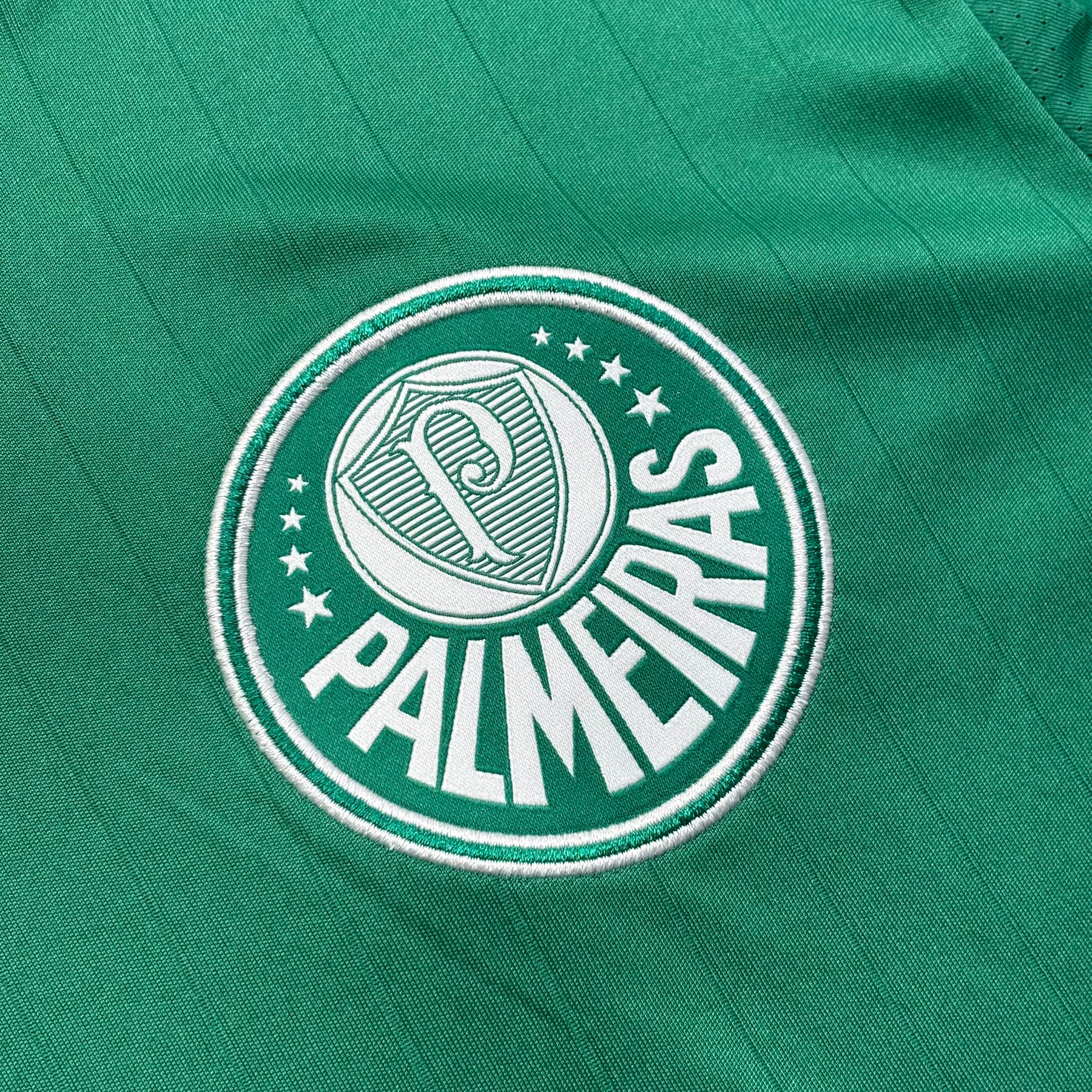 Palmeiras 2013 G