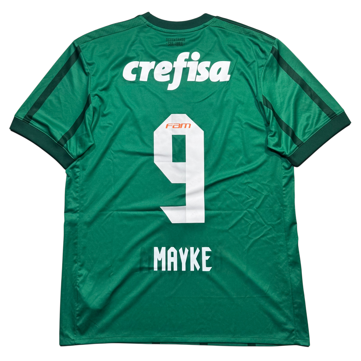 Palmeiras 2017 M