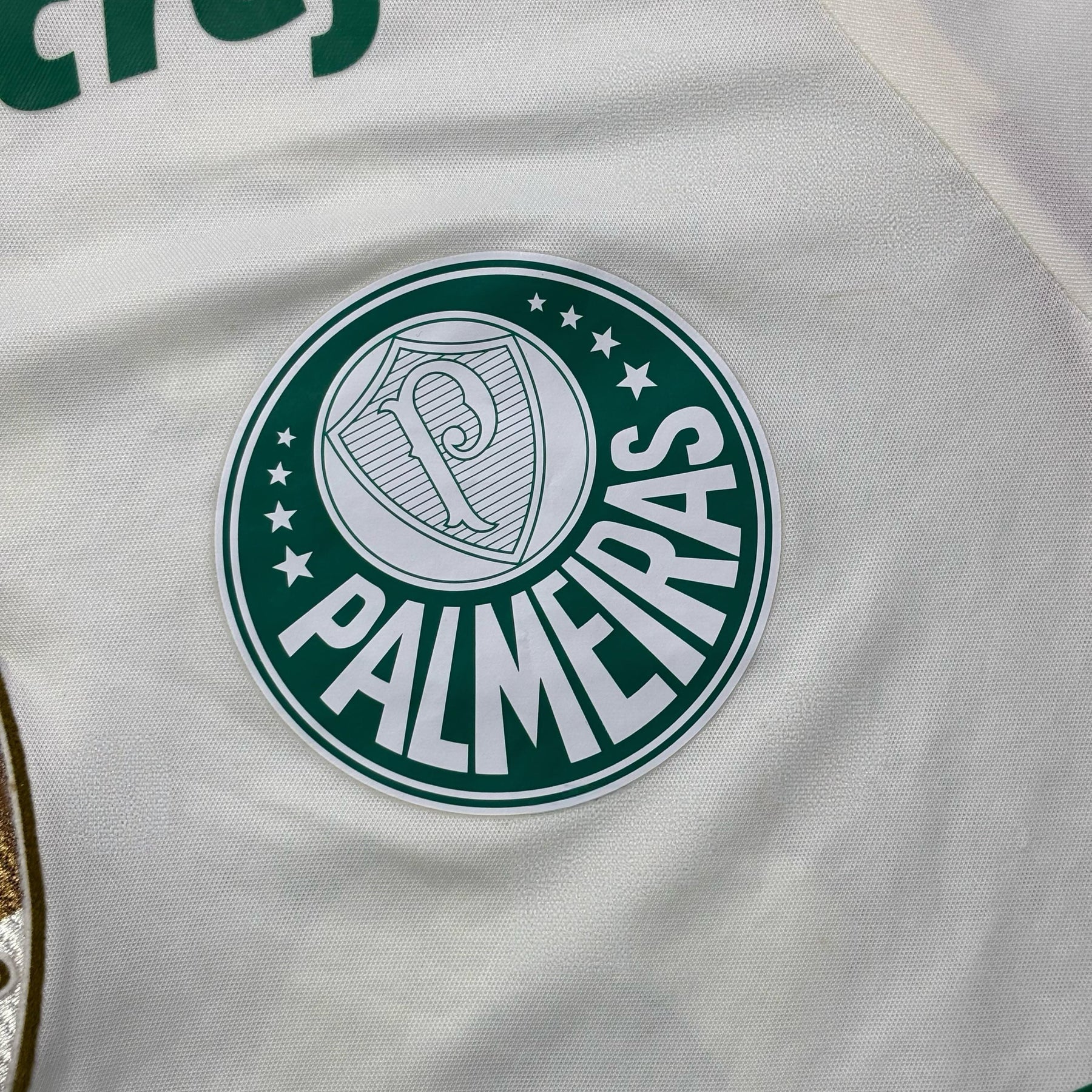 Palmeiras 2016 M