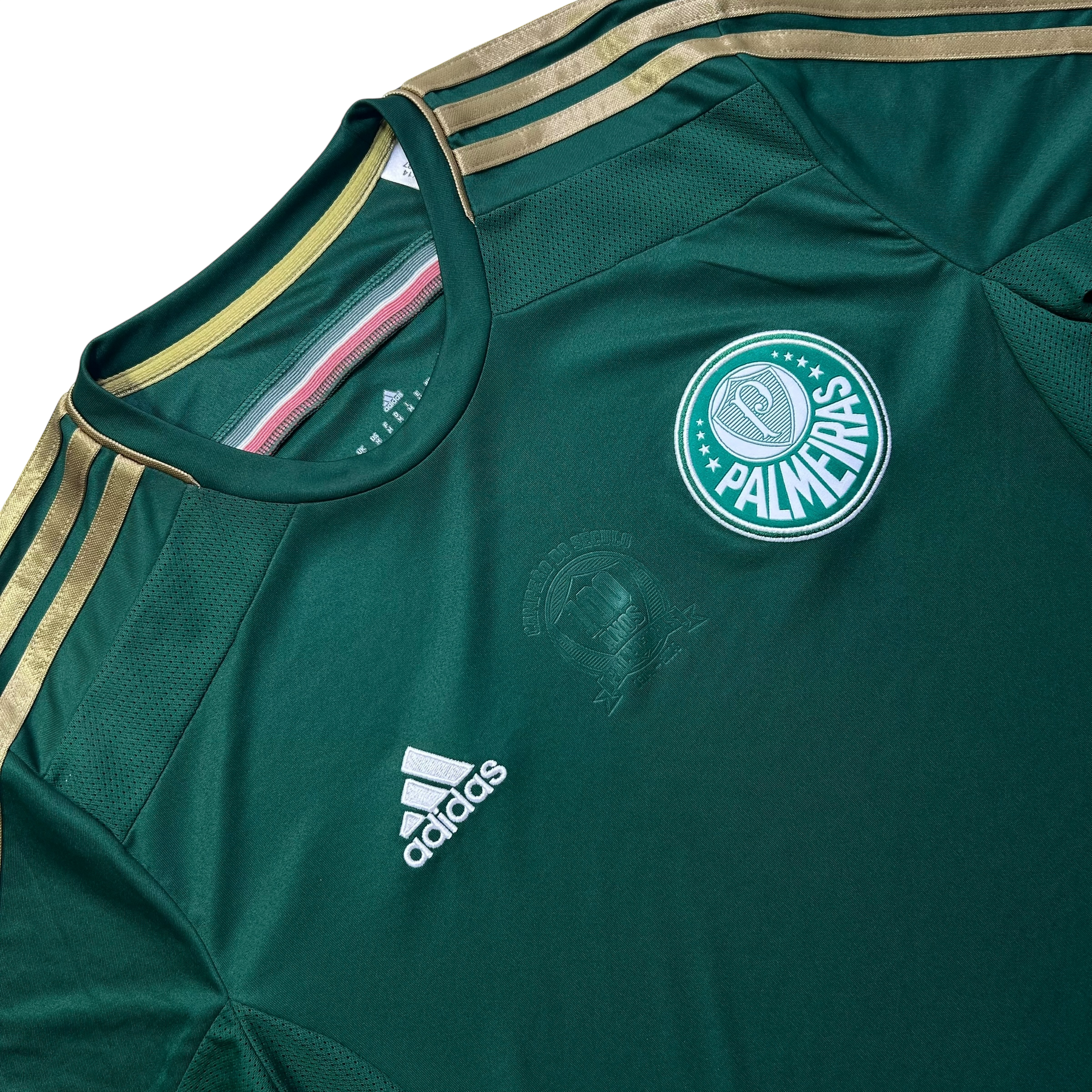 Palmeiras 2014 M