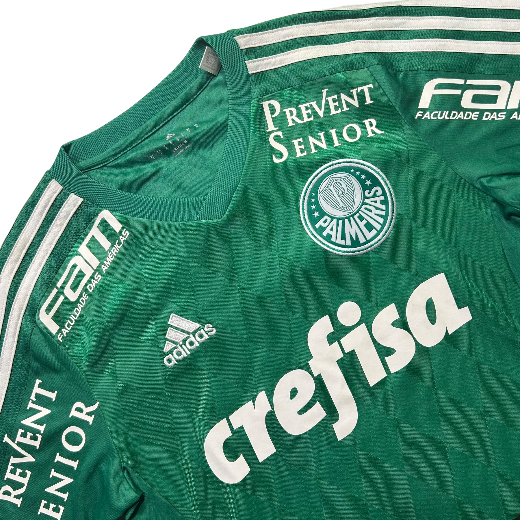 Palmeiras 2015 P