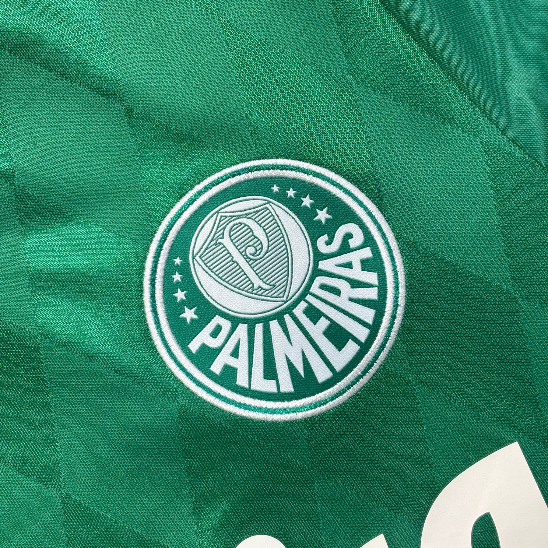Palmeiras 2015 M