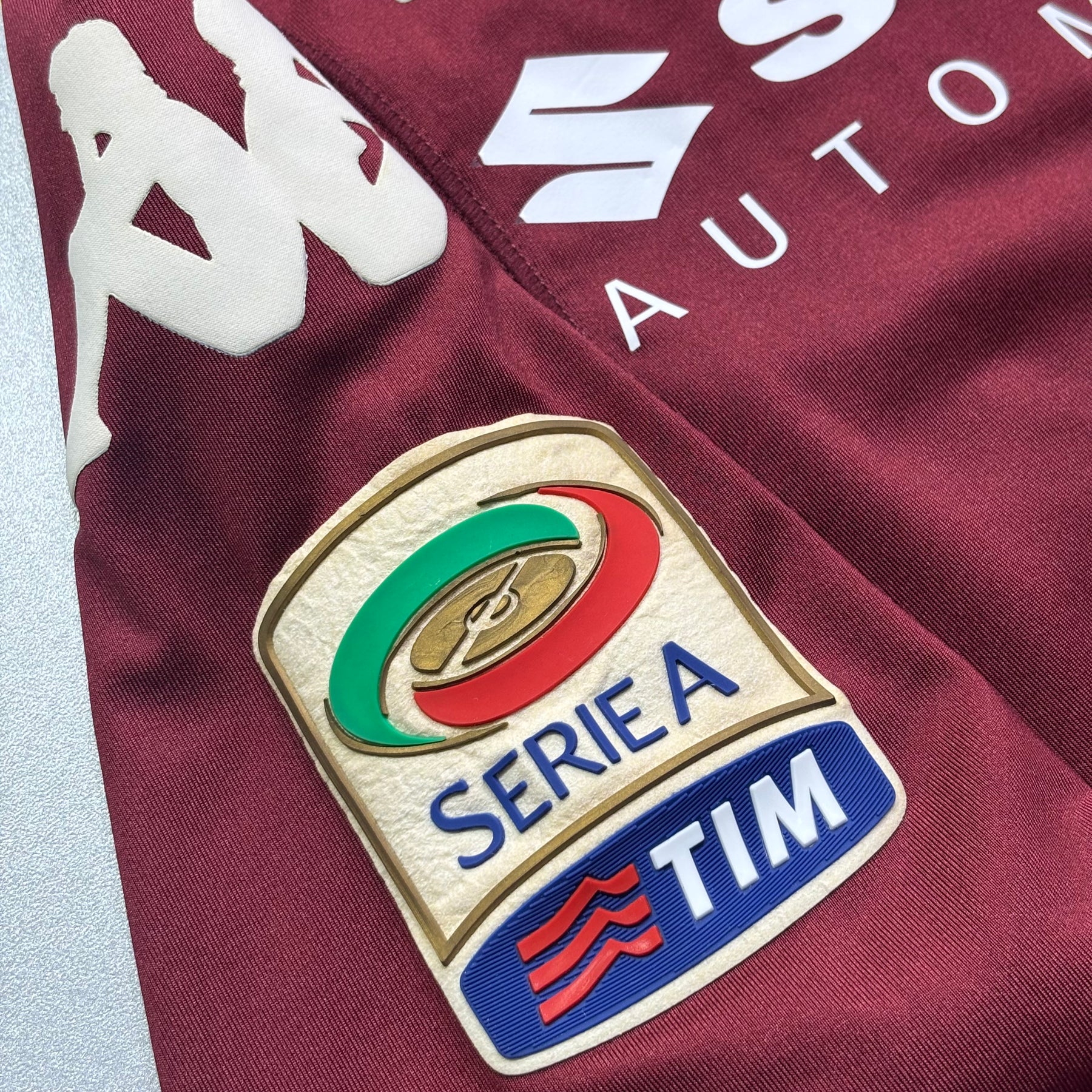 Torino 2013 P