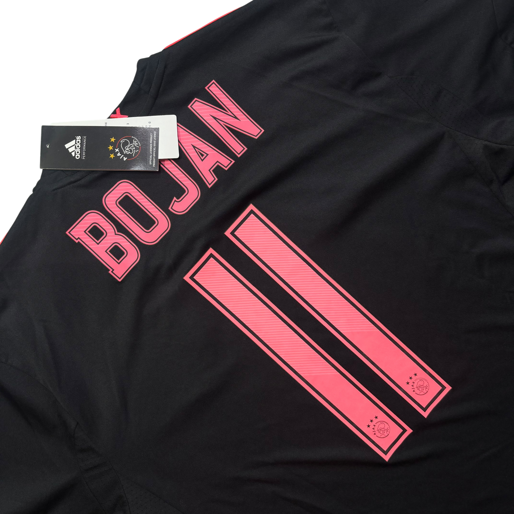 Ajax 2013 G