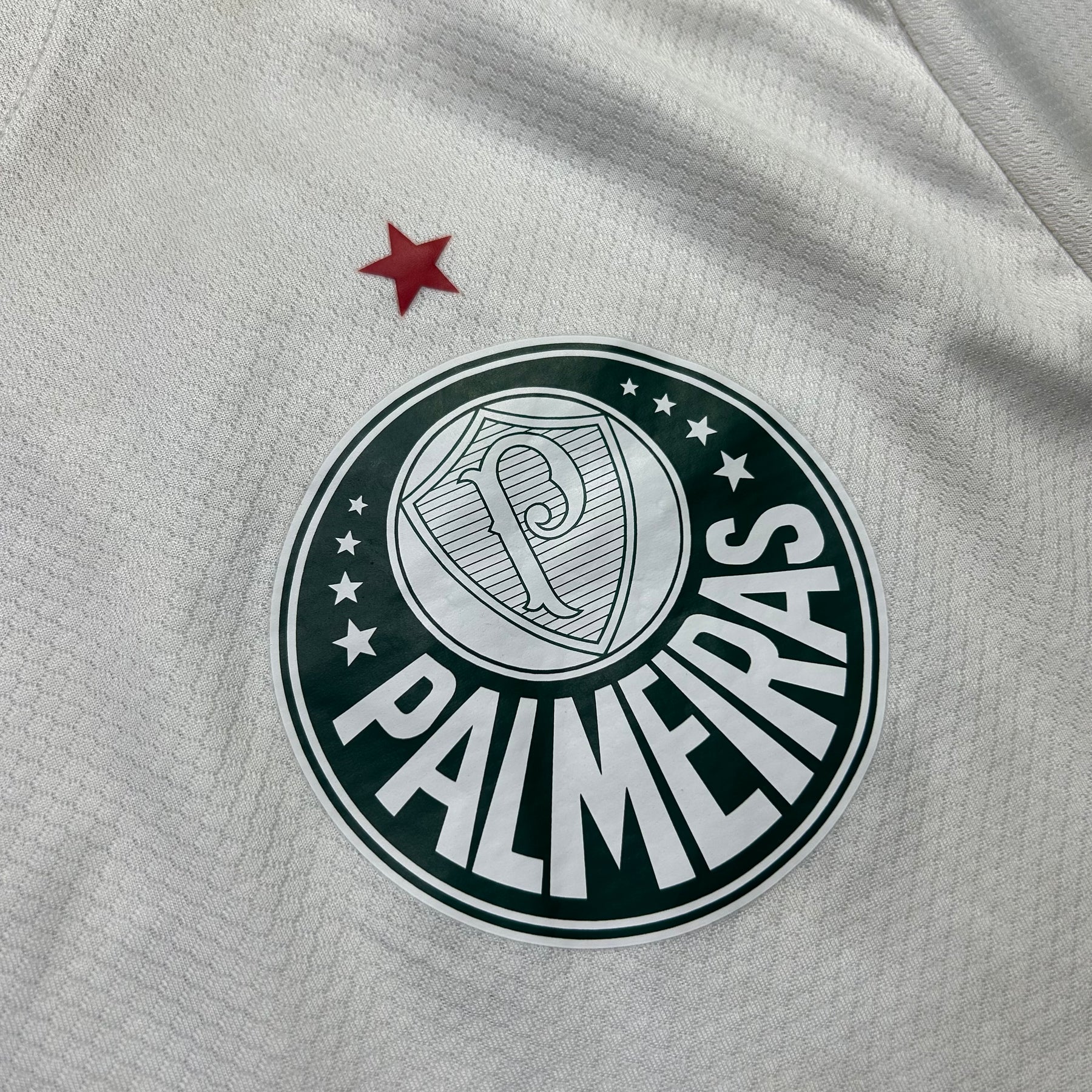 Palmeiras 2023 G