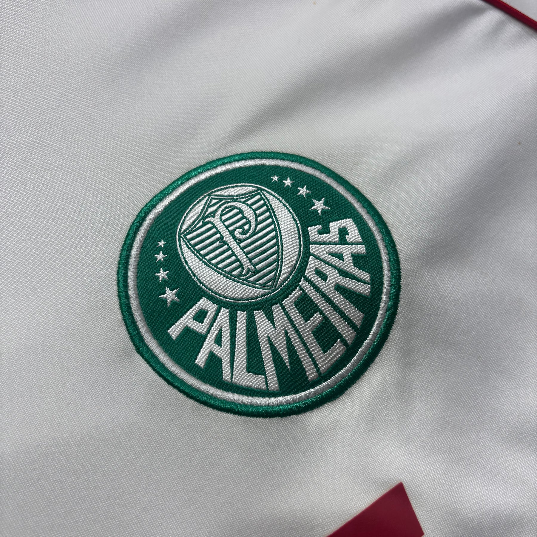 Palmeiras 2011 GG