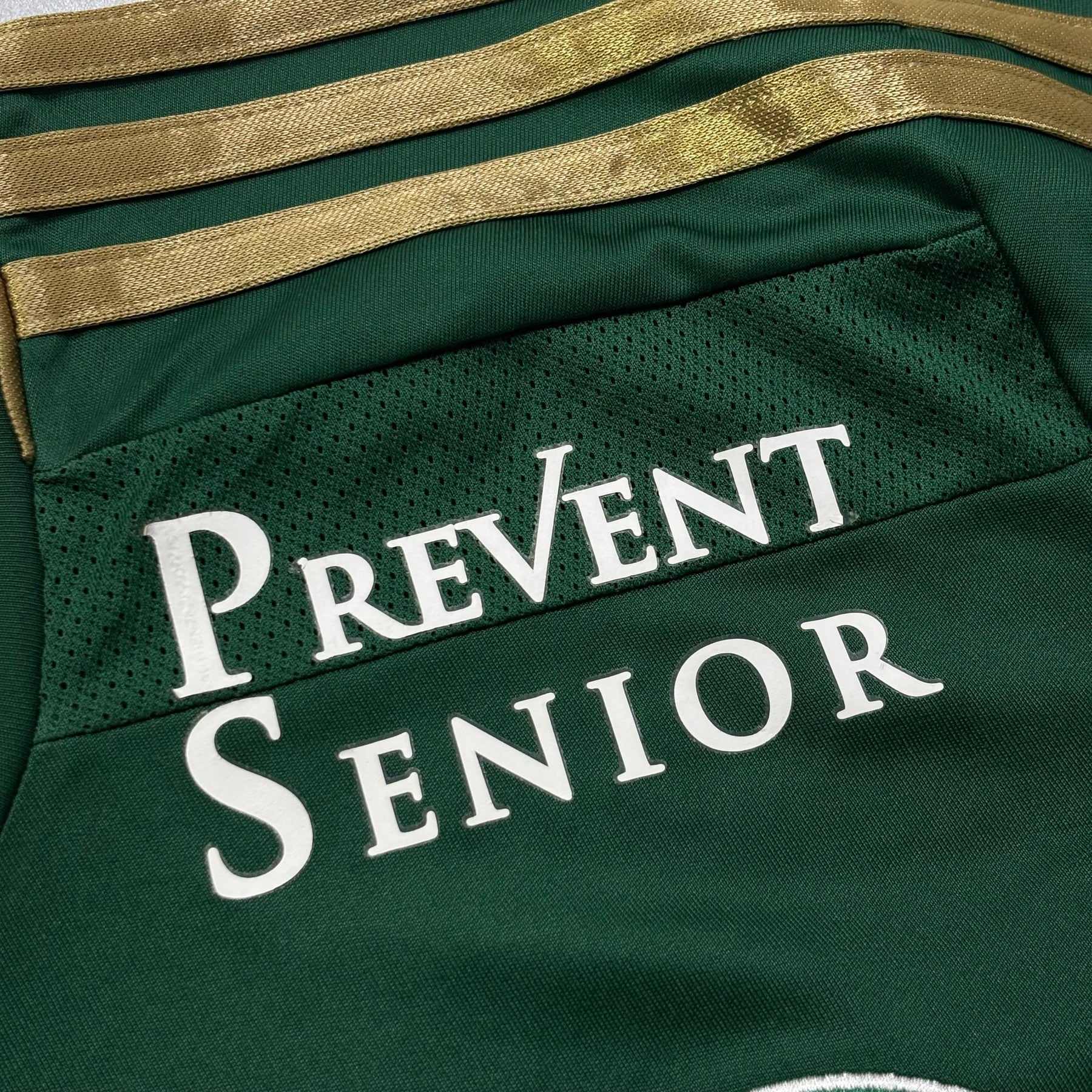 Palmeiras 2014 GG