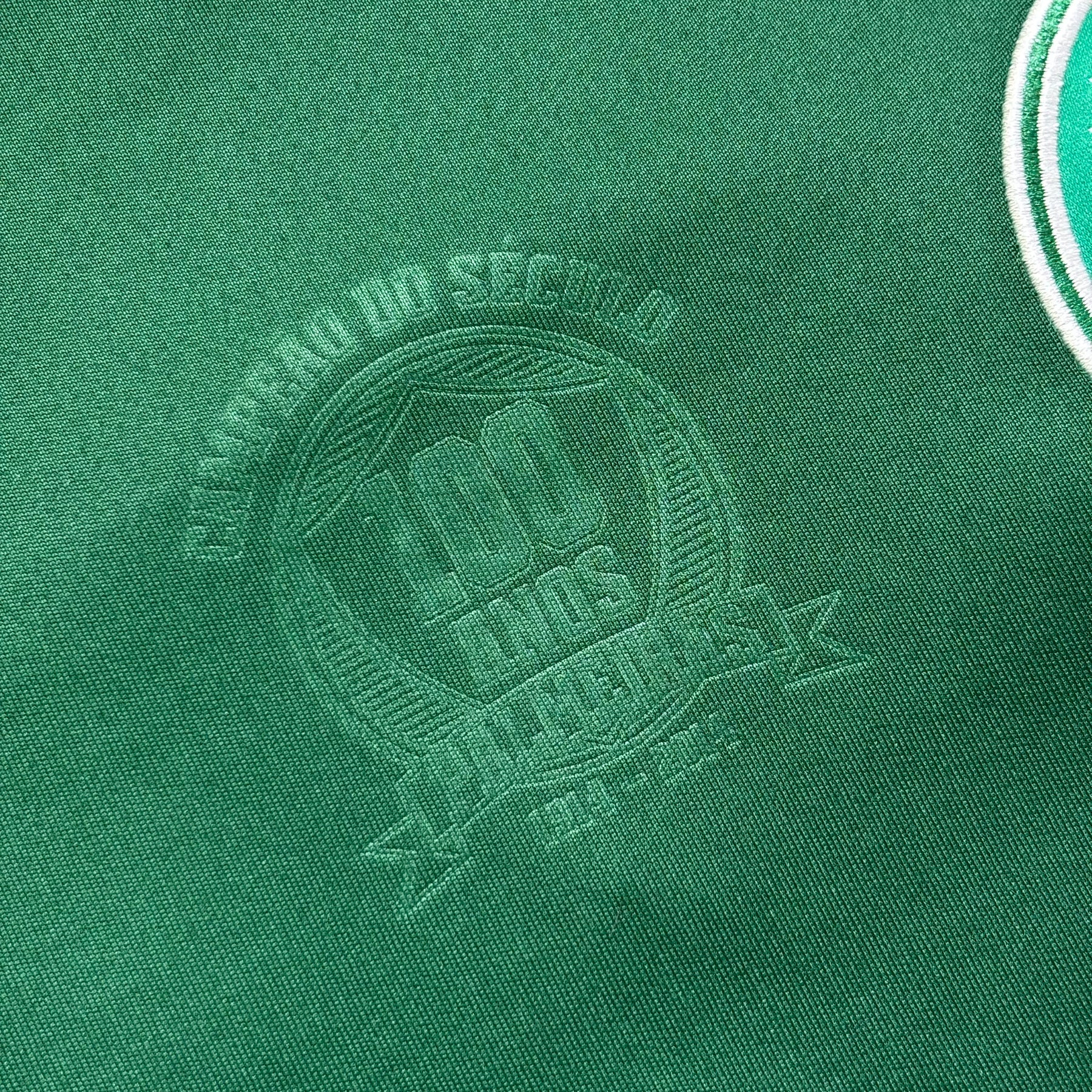 Palmeiras 2014 GG