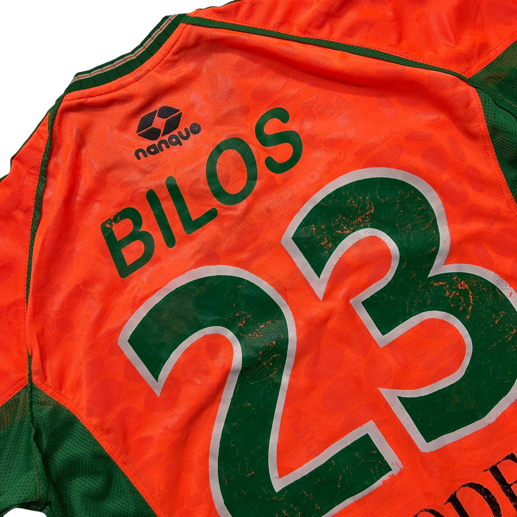 Banfield 2005 GG