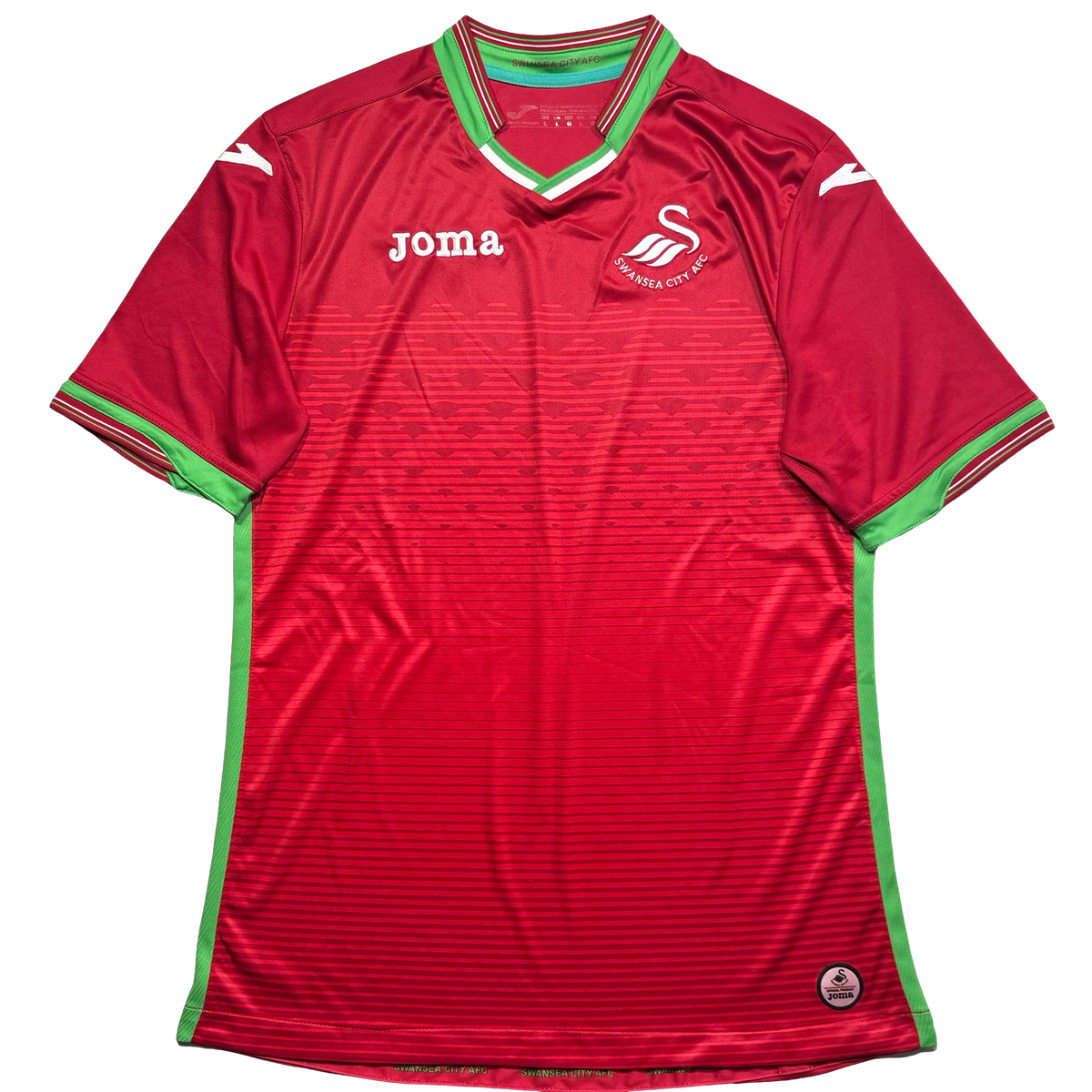 Swansea City 2017 M