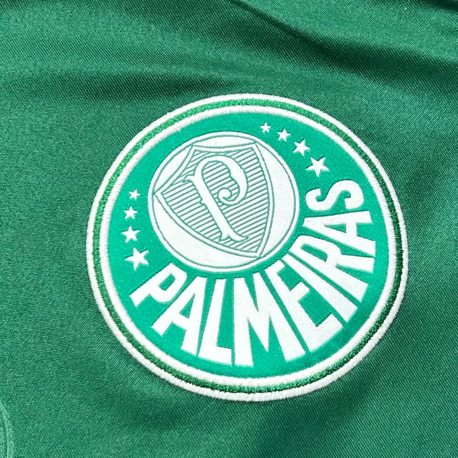 Palmeiras 2014 M