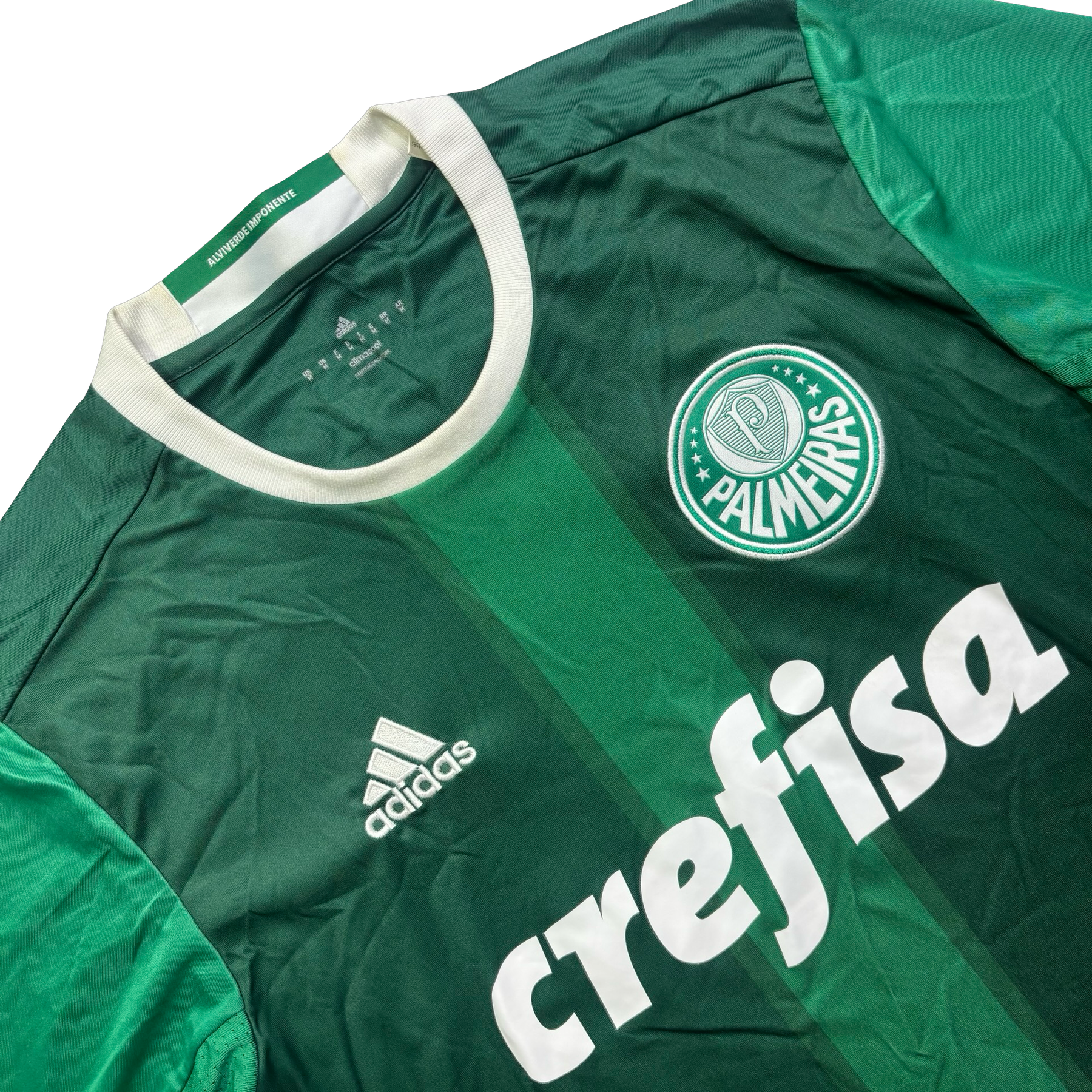 Palmeiras 2016 M