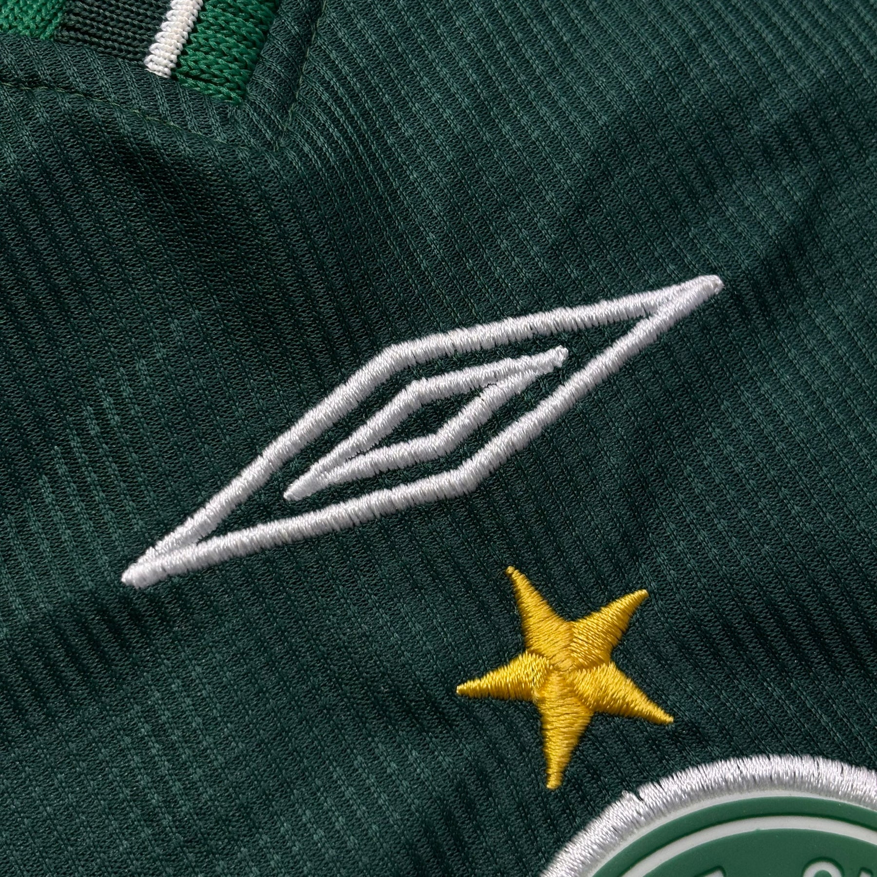Guarani 2001 GG