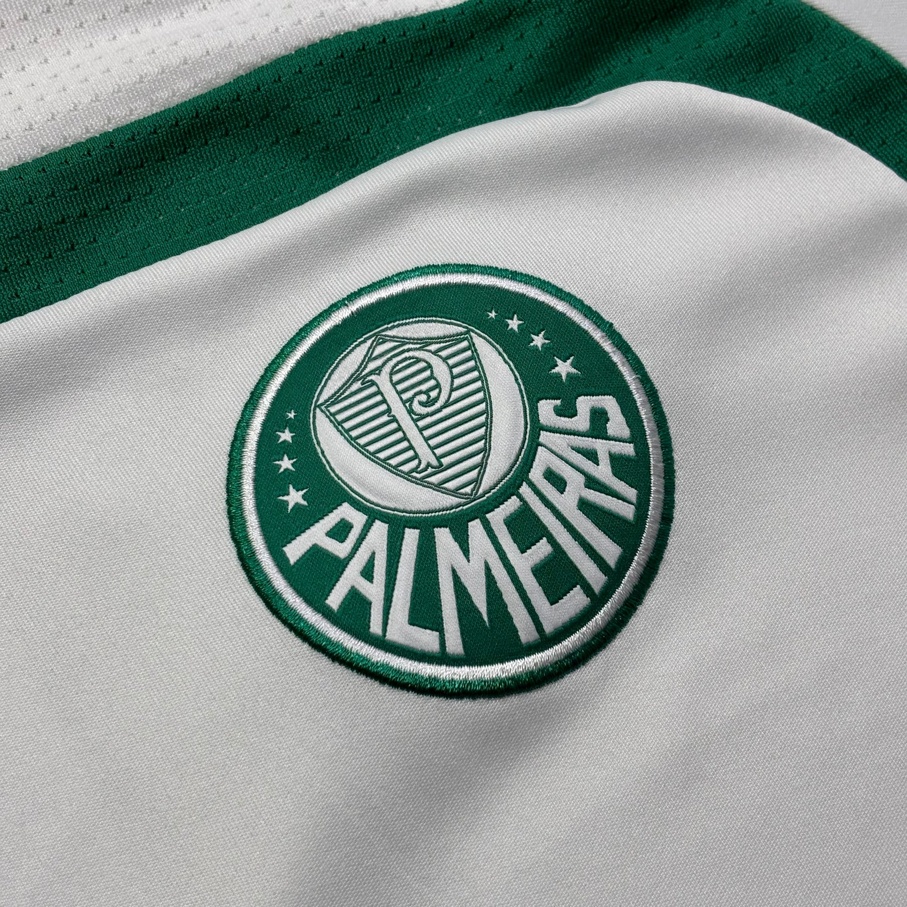Palmeiras 2007 GG