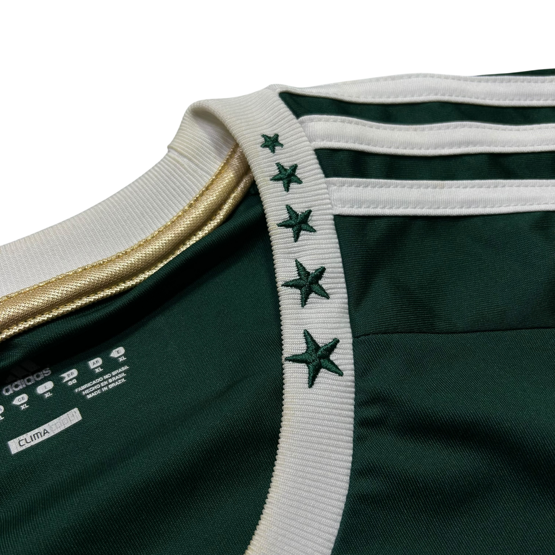 Palmeiras 2010 GG