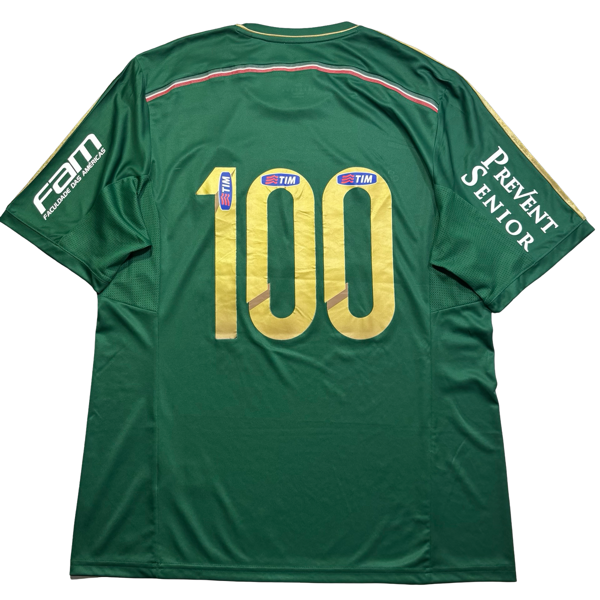 Palmeiras 2014 GG