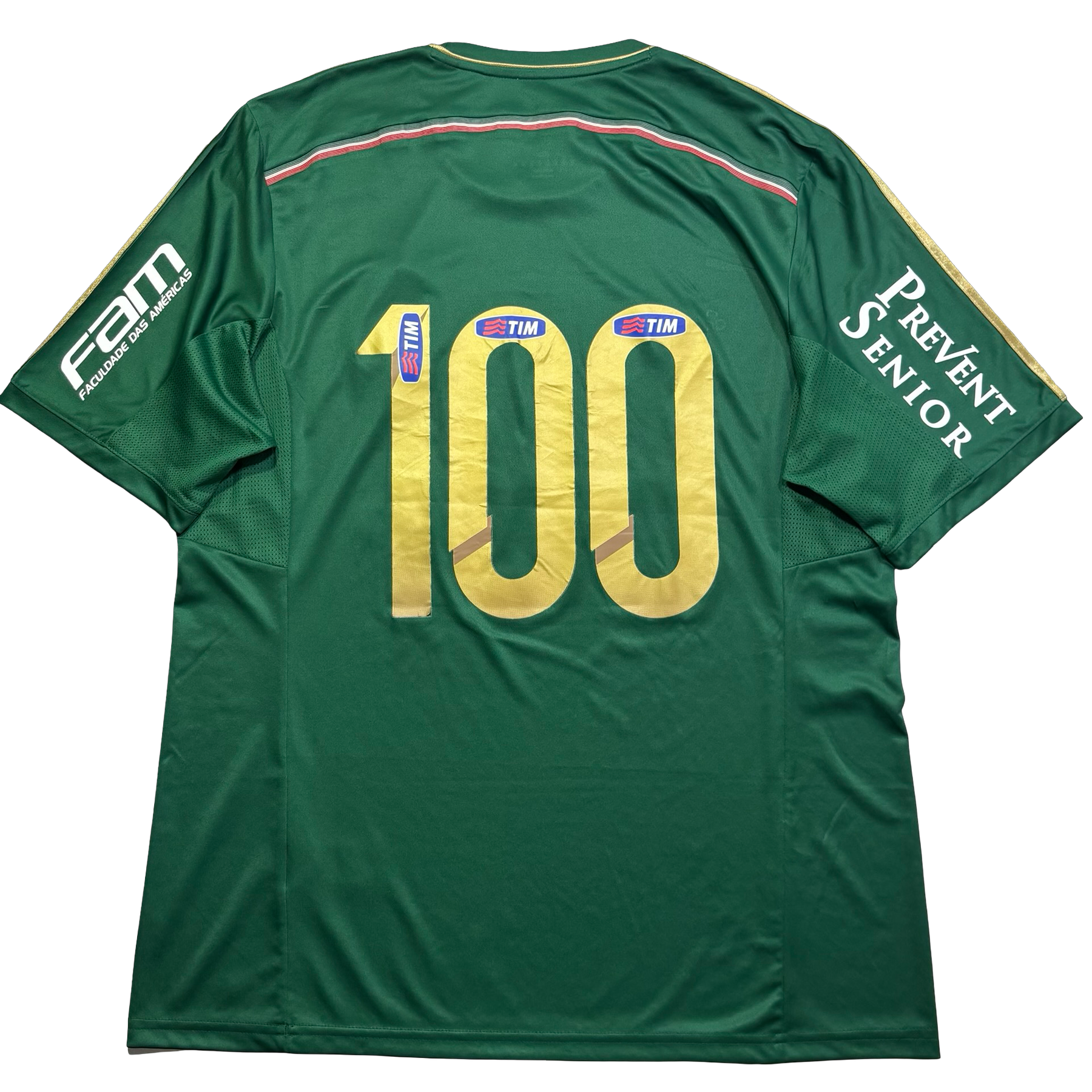 Palmeiras 2014 GG