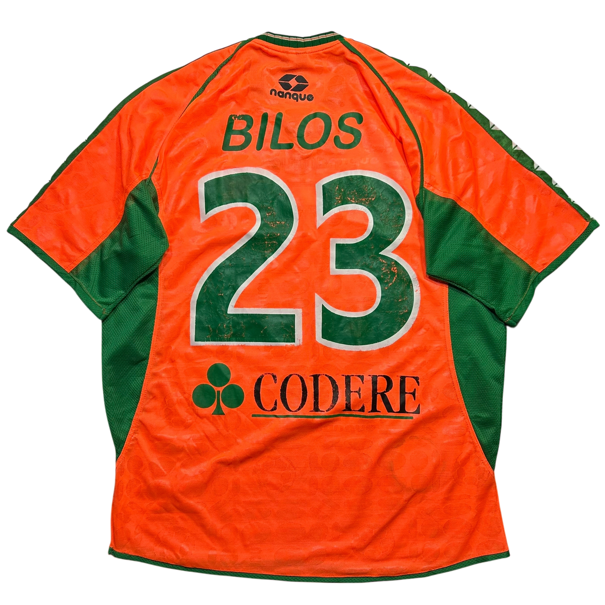 Banfield 2005 GG