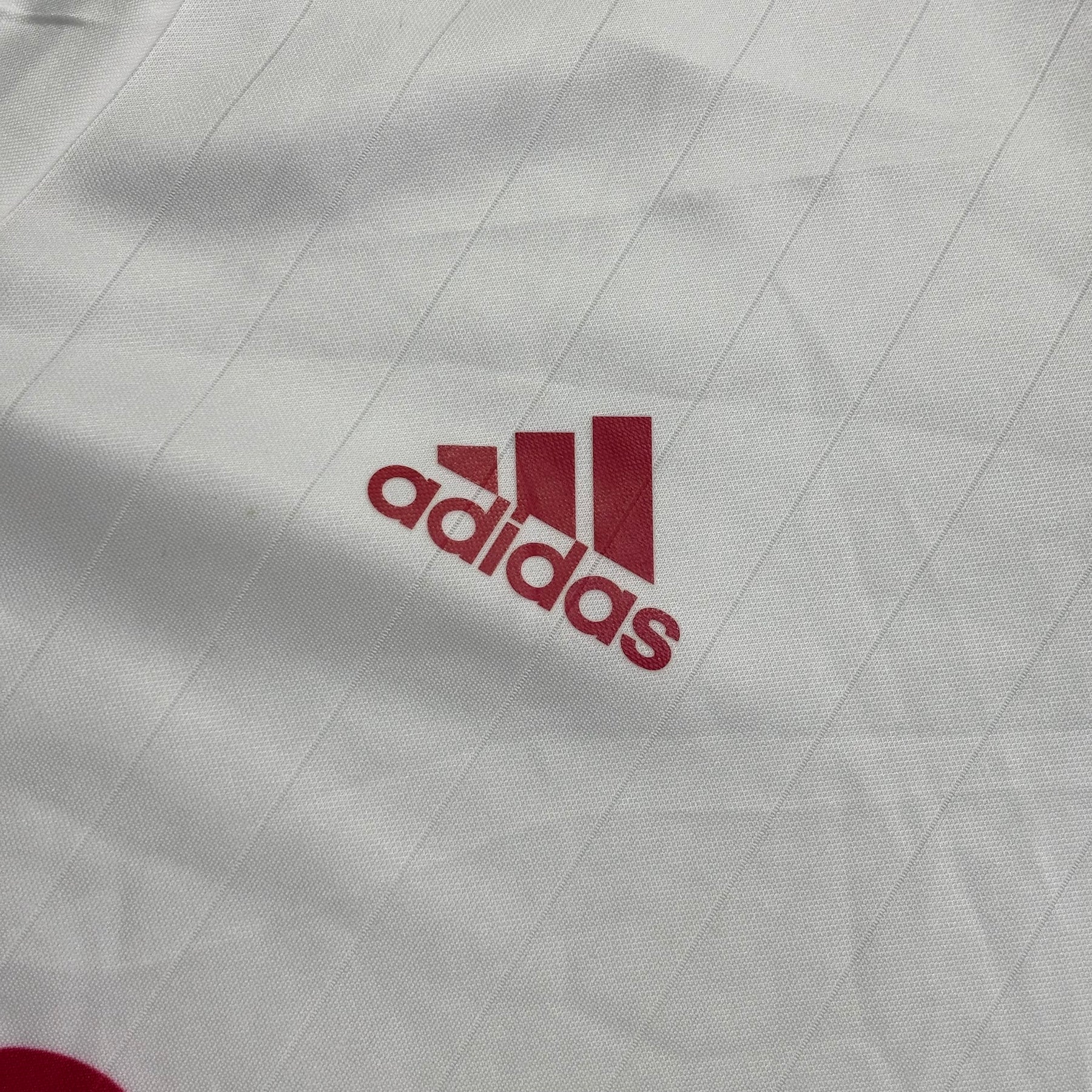 New York Red Bulls 2013 G