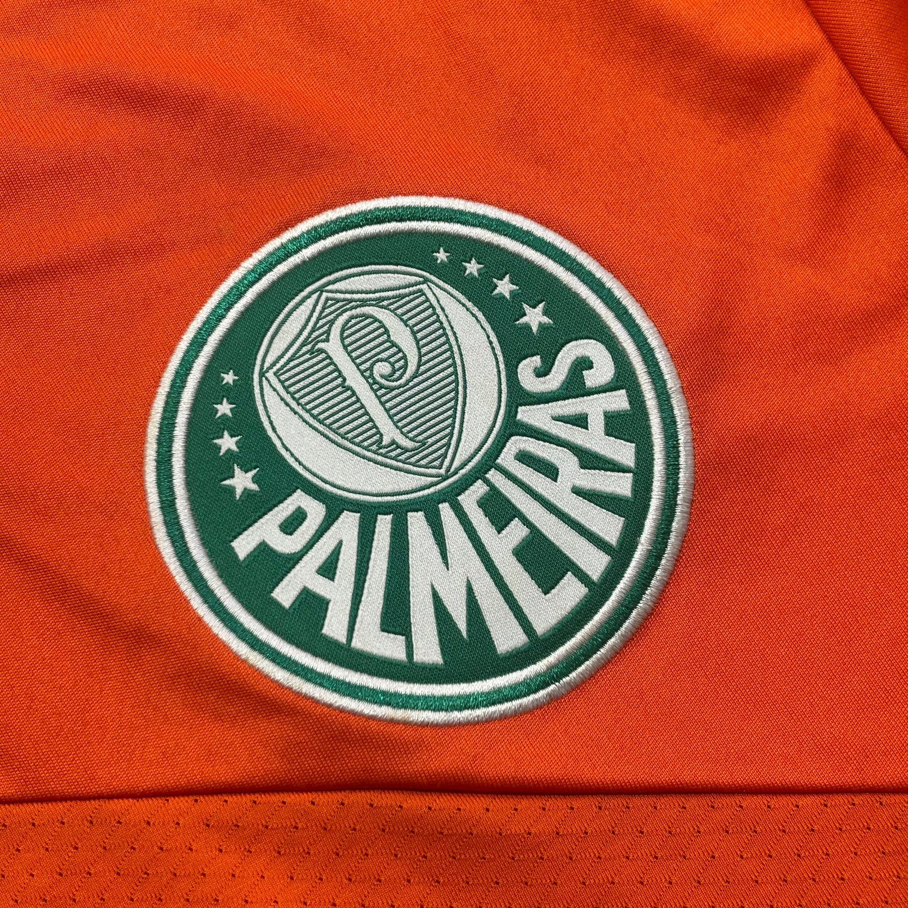 Palmeiras 2014 G