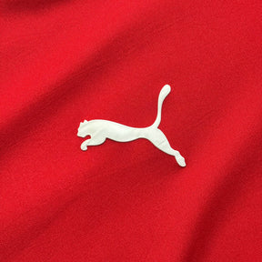 Chile 2010 GG