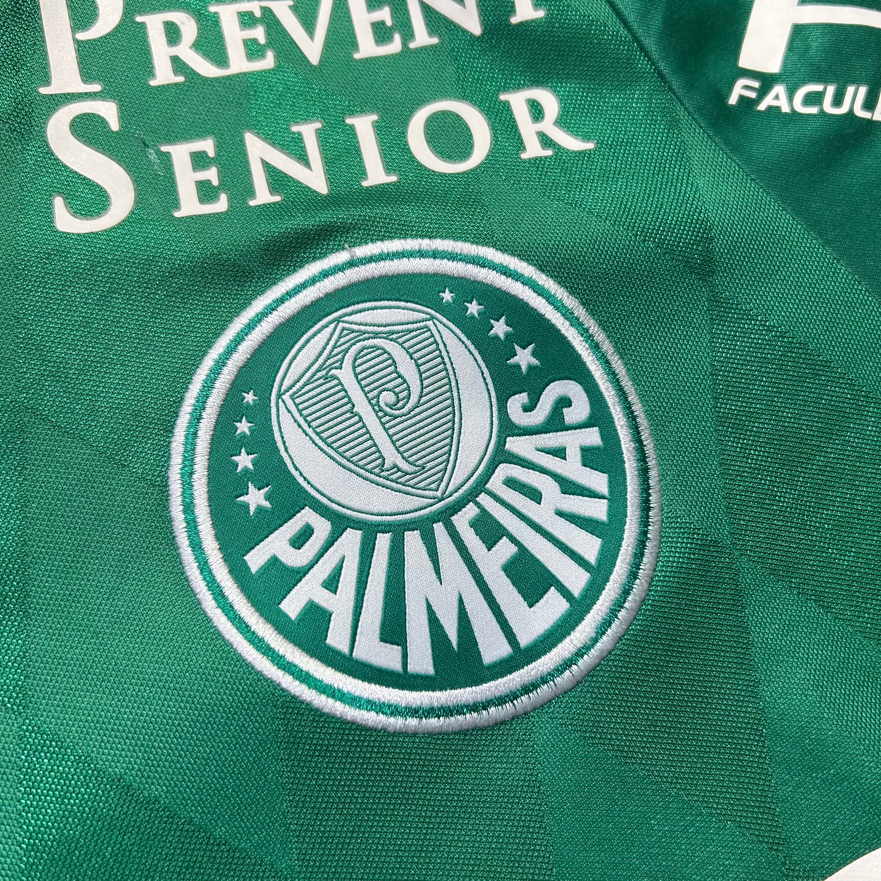 Palmeiras 2015 P