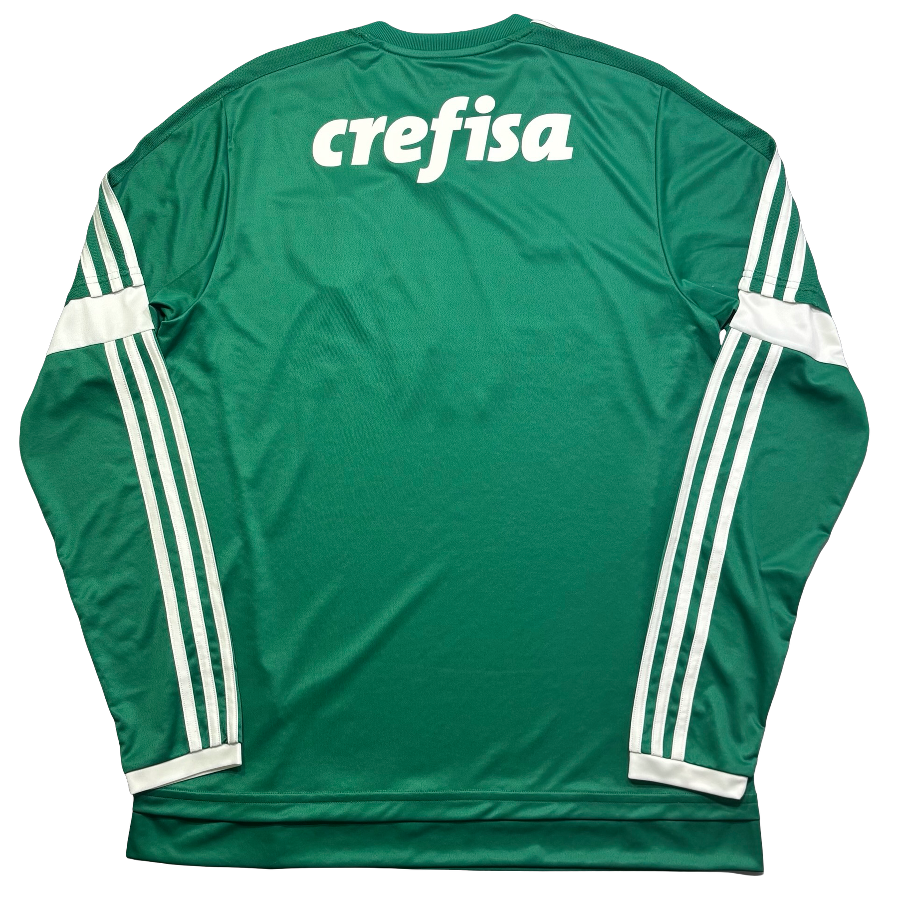 Palmeiras 2015 M