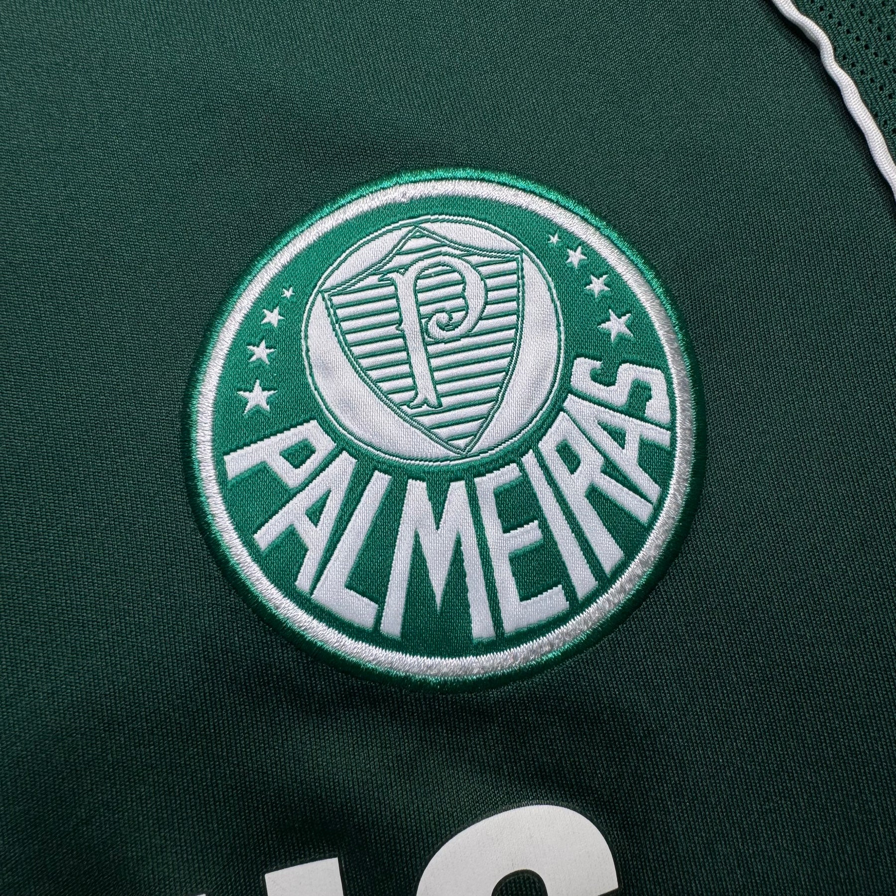 Palmeiras 2008 G