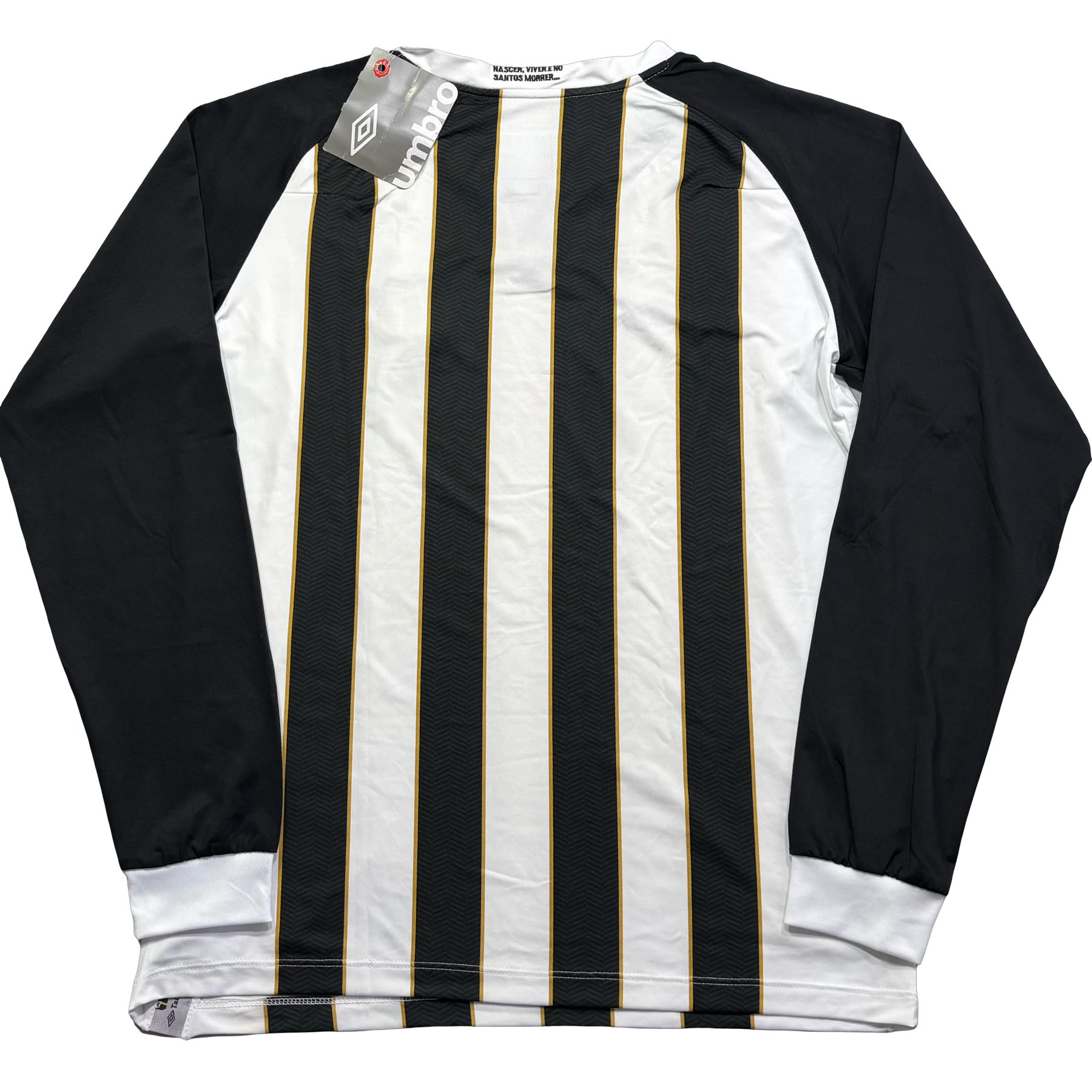 Santos 2011 P