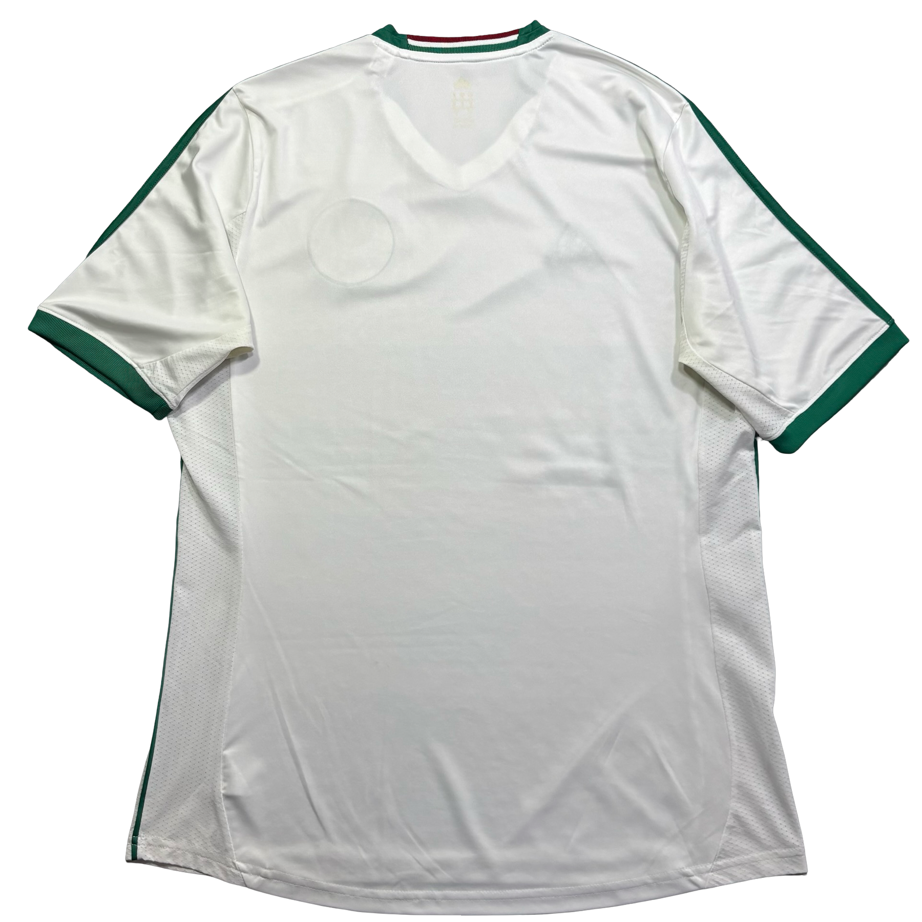 Palmeiras 2013 G