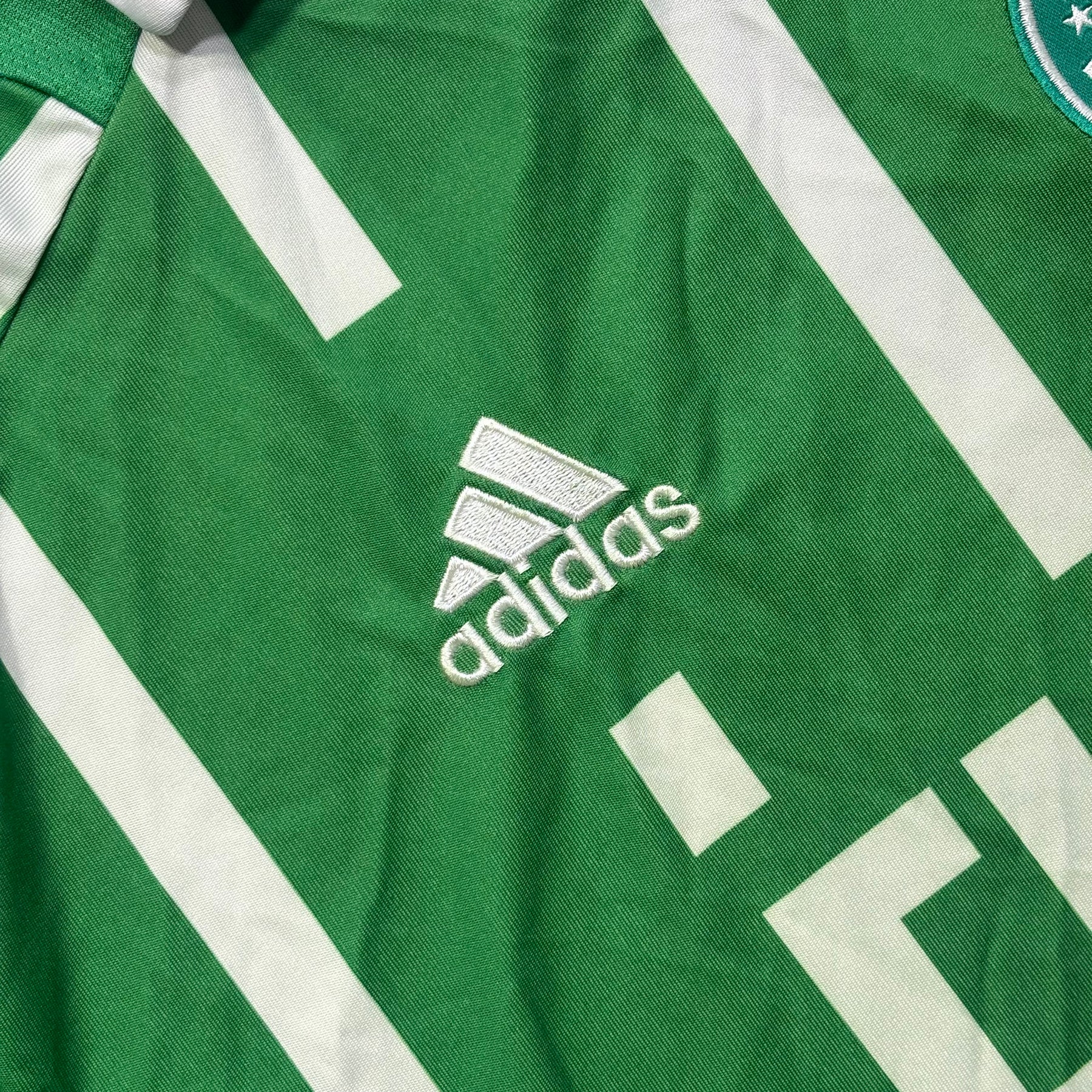 Palmeiras 2011 M