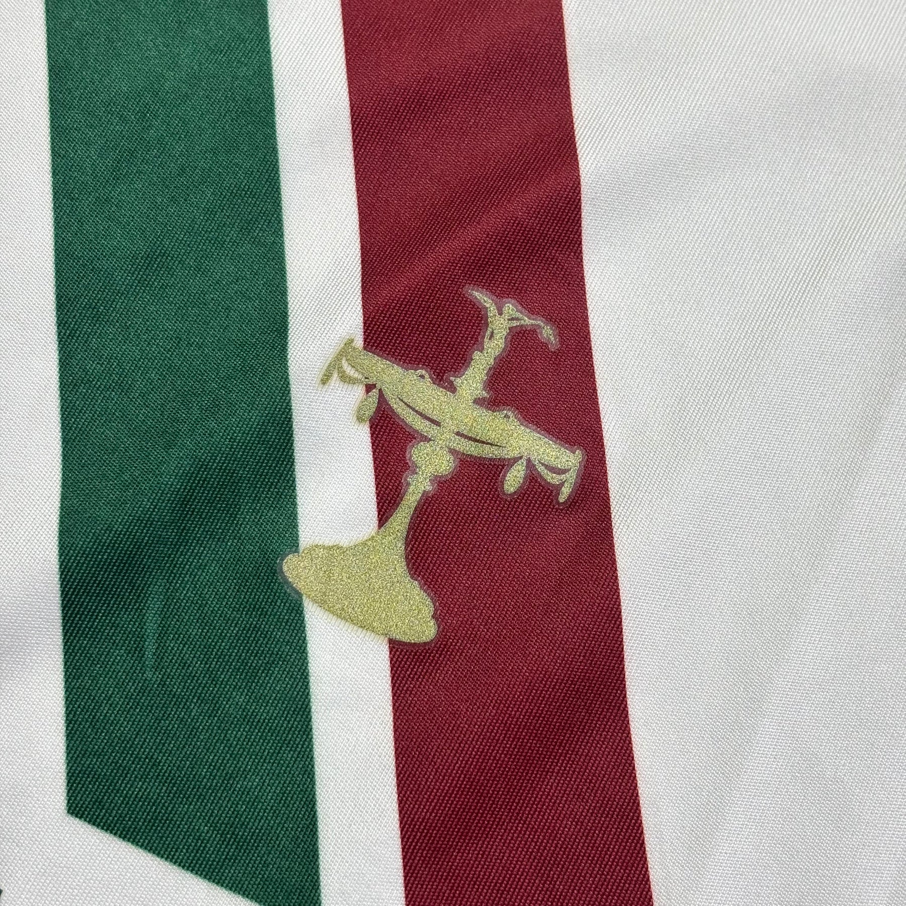 Fluminense 2009 M