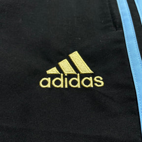 Argentina 2010 P