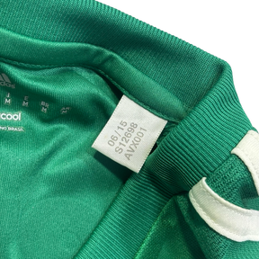 Palmeiras 2015 M