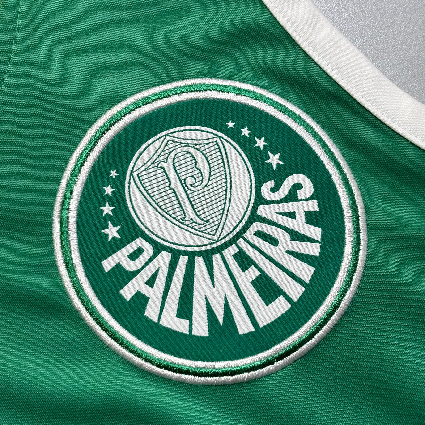 Palmeiras 2014 M